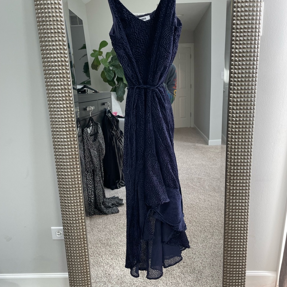 BB Dakota, tie waist dress with velvet polka dots. Navy blue
